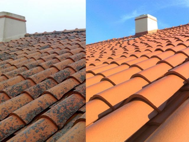 Nettoyage et Démoussage de Toiture